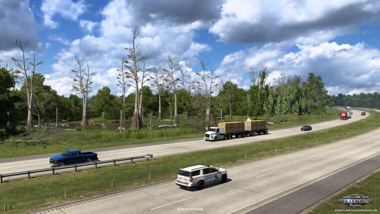 Sumpflandschaften und Wälder in Louisiana